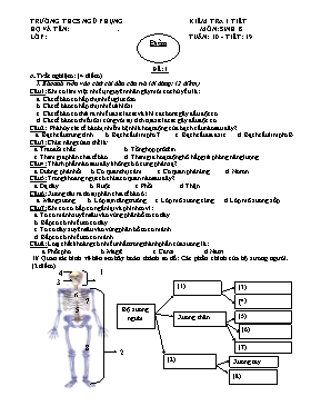 Đề kiểm tra một tiết Sinh học lớp 8 - Trường THCS Ngũ Phụng